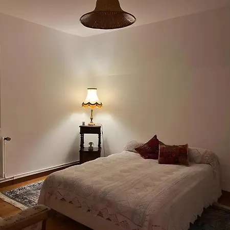 Chez Patrice Et Marieline F2 Usson-en-Forez